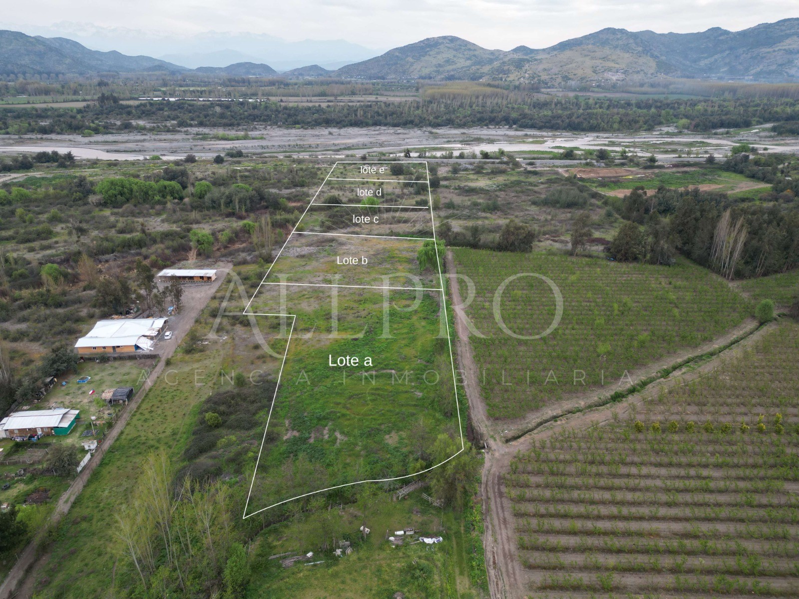 🌿 Parcelas en Coltauco – 5.600 m² 100% planas, rol propio, factibilidad de luz y agua